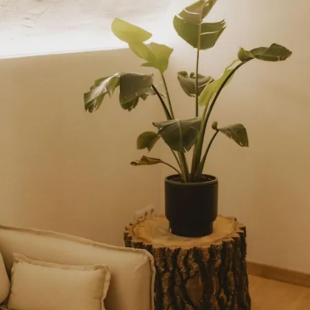 Casa Llimona By Lohodihomes 度假居